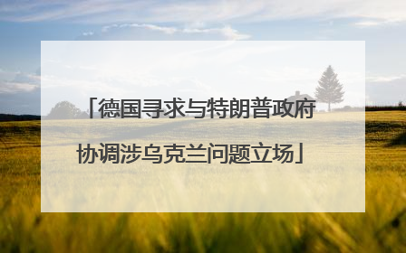 德国寻求与特朗普政府协调涉乌克兰问题立场