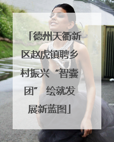 德州天衢新区赵虎镇聘乡村振兴“智囊团” 绘就发展新蓝图