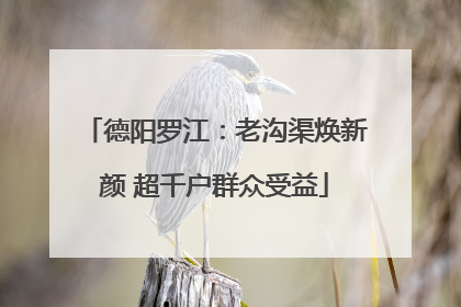 德阳罗江：老沟渠焕新颜 超千户群众受益