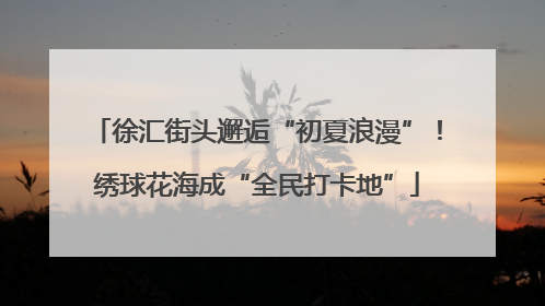 徐汇街头邂逅“初夏浪漫”！绣球花海成“全民打卡地”