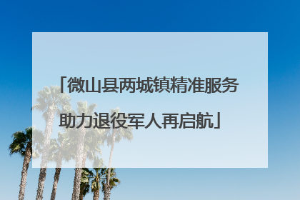 微山县两城镇精准服务助力退役军人再启航