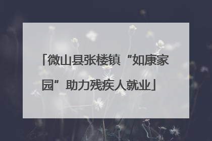 微山县张楼镇“如康家园”助力残疾人就业