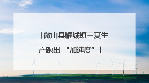 微山县驩城镇三夏生产跑出 “加速度”