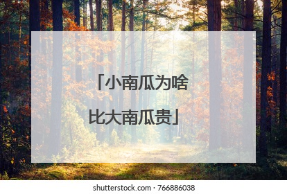 小南瓜为啥比大南瓜贵
