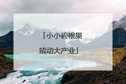 小小碧根果撬动大产业