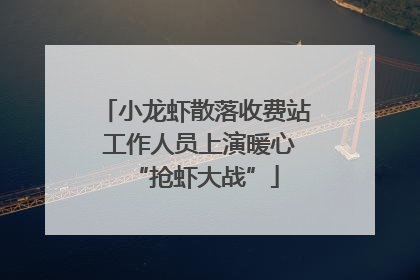 小龙虾散落收费站 工作人员上演暖心“抢虾大战”