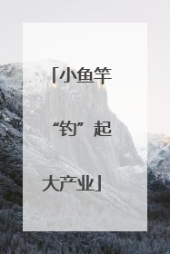 小鱼竿“钓”起大产业