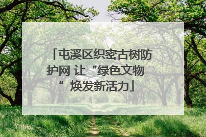 屯溪区织密古树防护网 让“绿色文物”焕发新活力