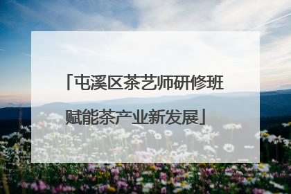屯溪区茶艺师研修班赋能茶产业新发展