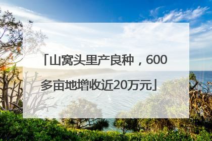 山窝头里产良种，600多亩地增收近20万元