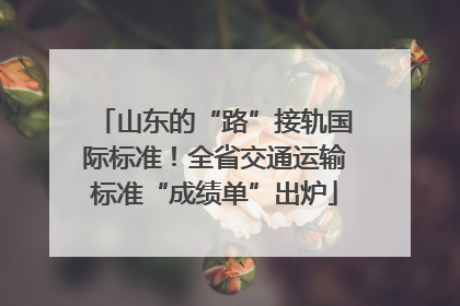 山东的“路”接轨国际标准！全省交通运输标准“成绩单”出炉