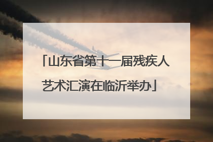 山东省第十一届残疾人艺术汇演在临沂举办