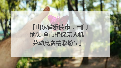 山东省乐陵市：田间地头 全市植保无人机劳动竞赛精彩纷呈