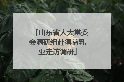 山东省人大常委会调研组赴得益乳业走访调研
