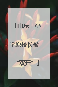 山东一小学原校长被“双开”