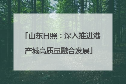 山东日照：深入推进港产城高质量融合发展