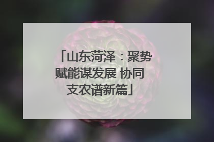 山东菏泽：聚势赋能谋发展 协同支农谱新篇