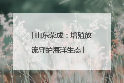山东荣成：增殖放流守护海洋生态