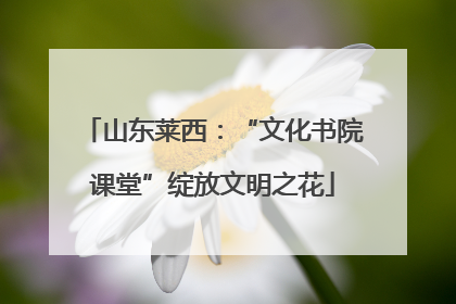 山东莱西：“文化书院课堂”绽放文明之花