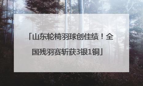 山东轮椅羽球创佳绩！全国残羽赛斩获3银1铜