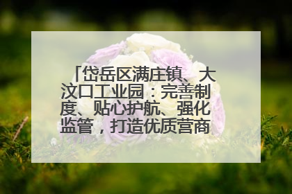 岱岳区满庄镇、大汶口工业园：完善制度、贴心护航、强化监管，打造优质营商“强磁场”