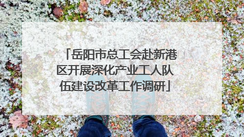 岳阳市总工会赴新港区开展深化产业工人队伍建设改革工作调研