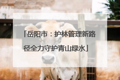 岳阳市：护林管理新路径全力守护青山绿水
