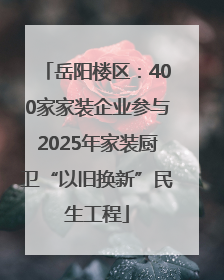 岳阳楼区：400家家装企业参与2025年家装厨卫“以旧换新”民生工程