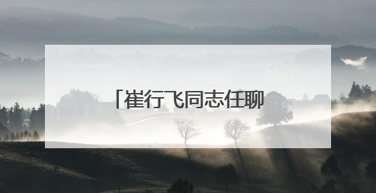 崔行飞同志任聊城市东昌府区人民政府代理区长