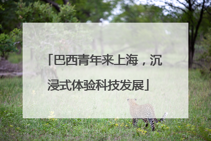 巴西青年来上海，沉浸式体验科技发展