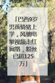 巴西9岁男孩骑猪上学，风驰电掣视频走红网络，粉丝已超125万