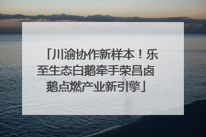 川渝协作新样本！乐至生态白鹅牵手荣昌卤鹅点燃产业新引擎