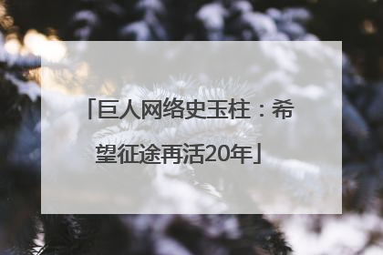 巨人网络史玉柱：希望征途再活20年