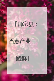 师宗县：香葱产业一路鲜