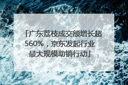 广东荔枝成交额增长超560%，京东发起行业最大规模助销行动