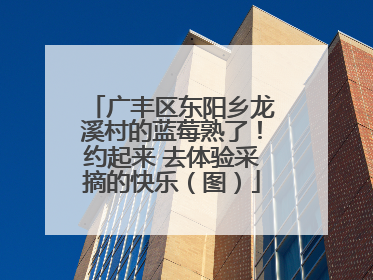 广丰区东阳乡龙溪村的蓝莓熟了！约起来 去体验采摘的快乐（图）