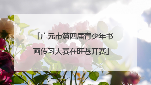 广元市第四届青少年书画传习大赛在旺苍开赛