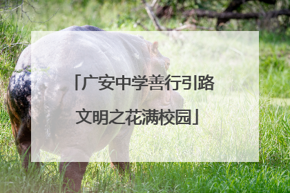 广安中学善行引路 文明之花满校园