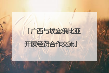 广西与埃塞俄比亚开展经贸合作交流