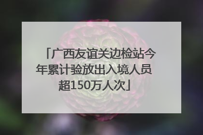 广西友谊关边检站今年累计验放出入境人员超150万人次
