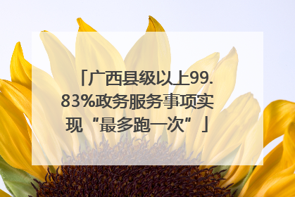 广西县级以上99.83%政务服务事项实现“最多跑一次”