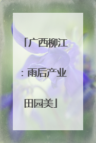 广西柳江：雨后产业田园美