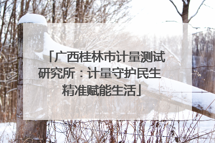 广西桂林市计量测试研究所：计量守护民生 精准赋能生活