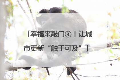 幸福来敲门③丨让城市更新“触手可及”