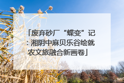 废弃砂厂“蝶变”记：湘阴中麻贝乐谷绘就农文旅融合新画卷