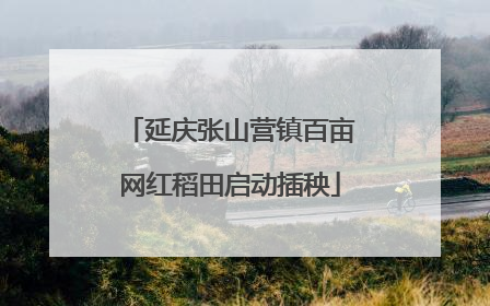 延庆张山营镇百亩网红稻田启动插秧