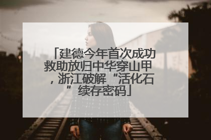 建德今年首次成功救助放归中华穿山甲，浙江破解“活化石”续存密码