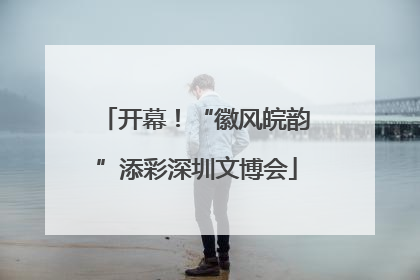 开幕！“徽风皖韵”添彩深圳文博会