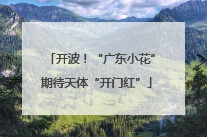 开波！“广东小花”期待天体“开门红”