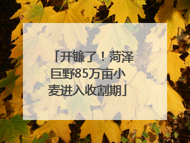 开镰了！菏泽巨野85万亩小麦进入收割期
